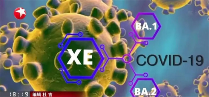 应该如何正确看待XBB系列毒株  第1张