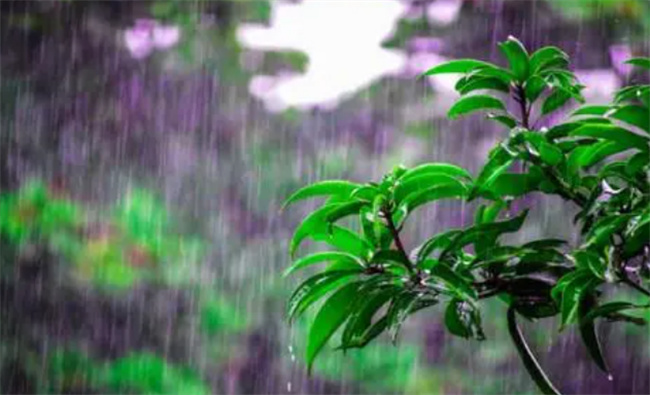 夏至下雨的话夏天会凉快吗  第1张