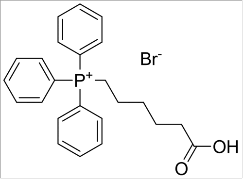 戊基有几种同分异构体  第1张