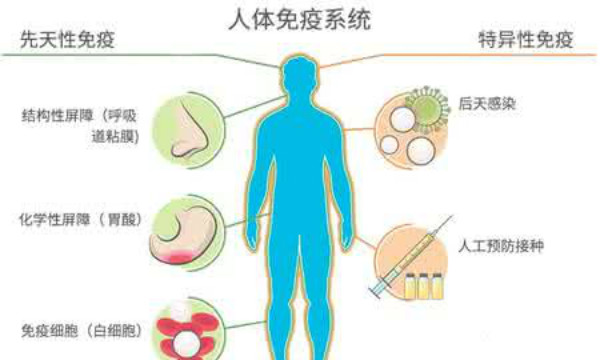 群体免疫名词解释  第2张