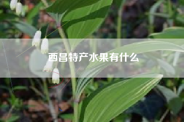 西昌特产水果有什么  第1张