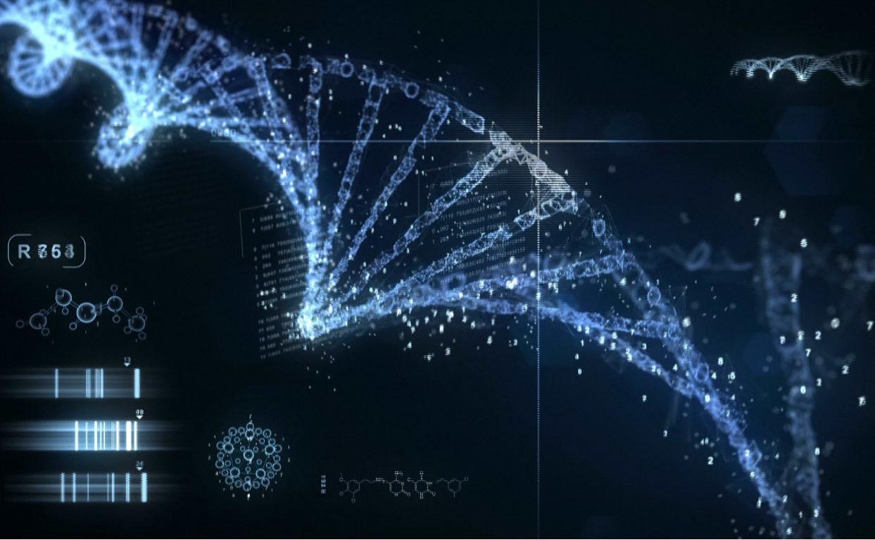 基因突变和基因重组的区别  第2张