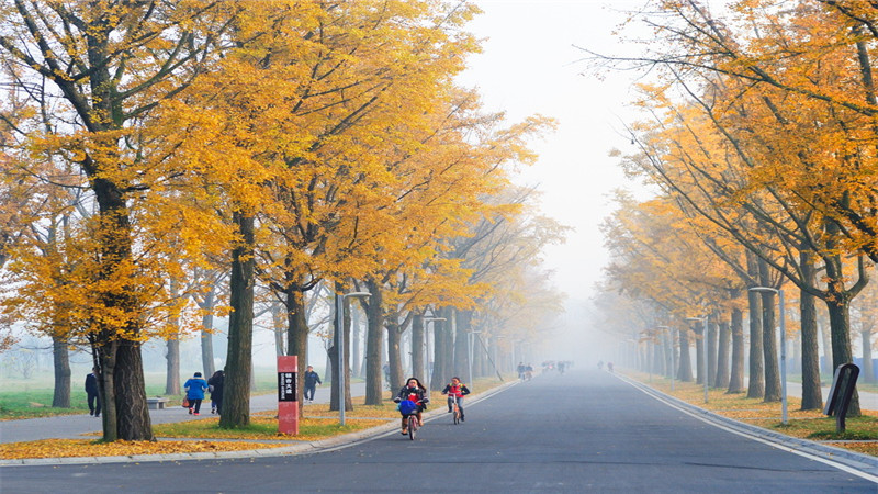 北京专升本大学有哪些  第2张