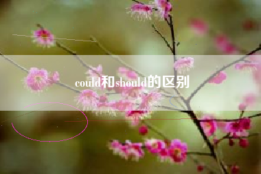 could和should的区别  第1张