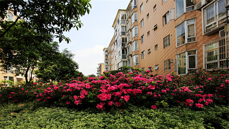 河南中医药大学学校代码是多少  第1张