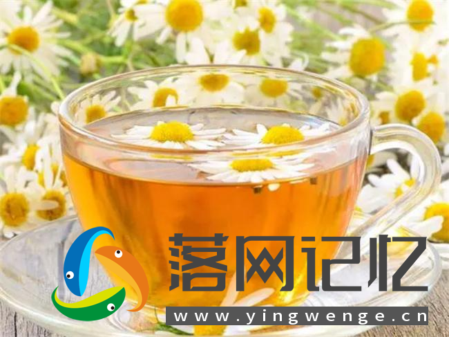 菊花茶泡水的功效  第1张