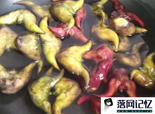 菱角发芽了可以吃吗  第2张