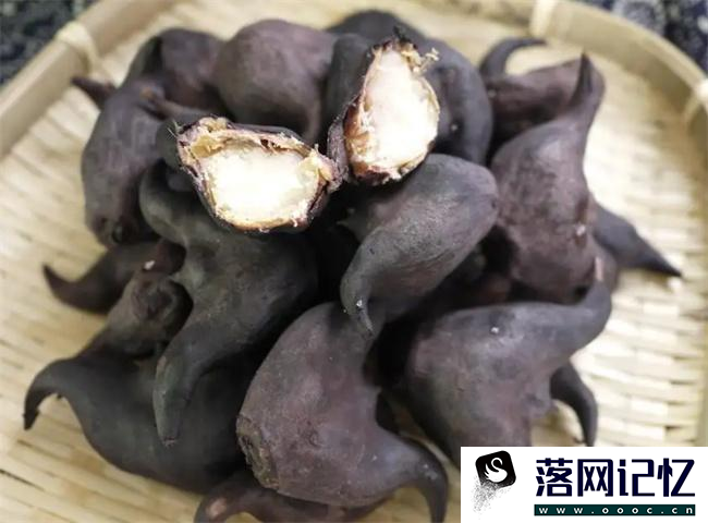 菱角煲汤要剥壳吗  第1张