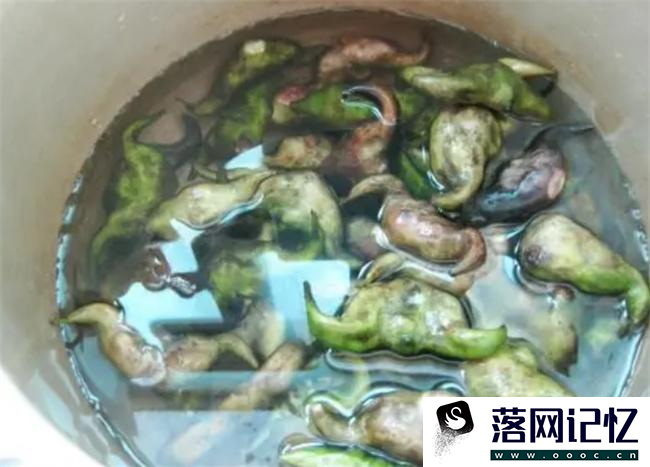 菱角煲汤要剥壳吗  第2张