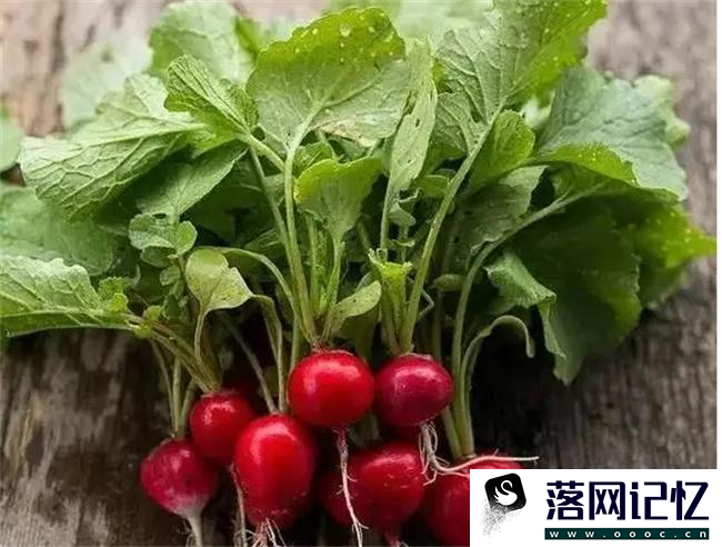 萝卜的叶与皮比肉更有营养吗  第3张