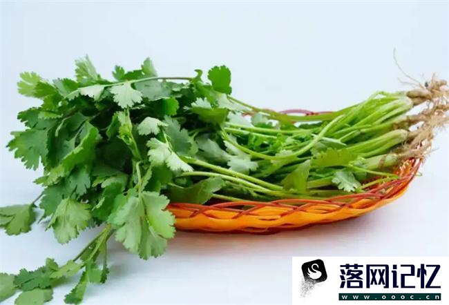 香菜这几种人吃却是没病找病  第3张