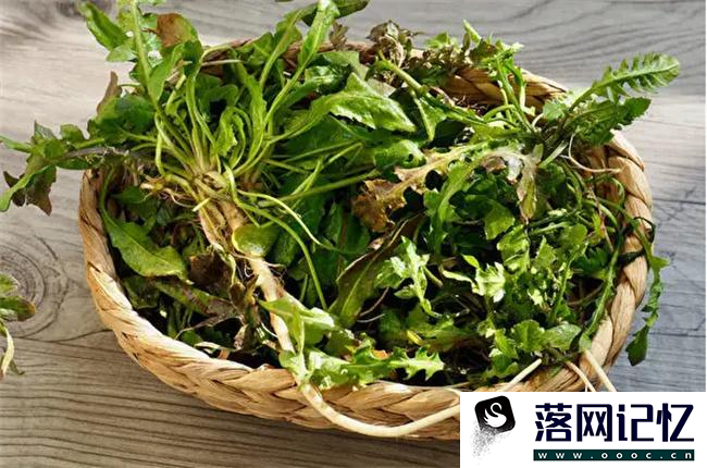 野菜的营养价值  第1张