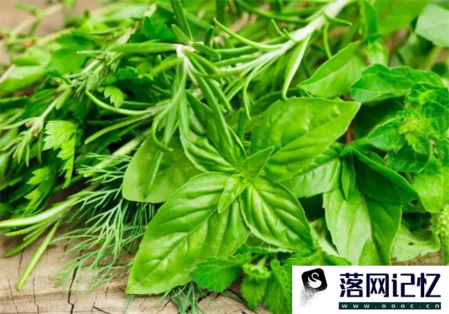 野菜的营养价值  第2张