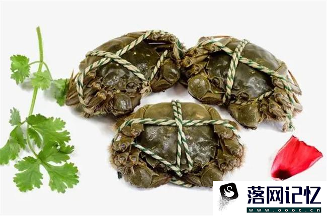 螃蟹不洗直接蒸会有寄生虫吗  第3张