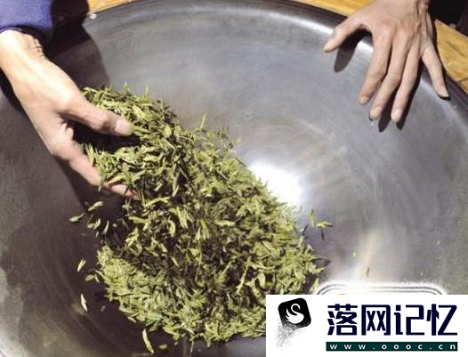 苦菜茶的制作方法优质  第3张