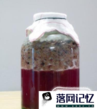 葡萄酒的制作方法——红葡萄酒的制作方法优质  第8张