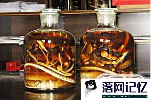 眼镜蛇泡酒的正确方法优质  第3张