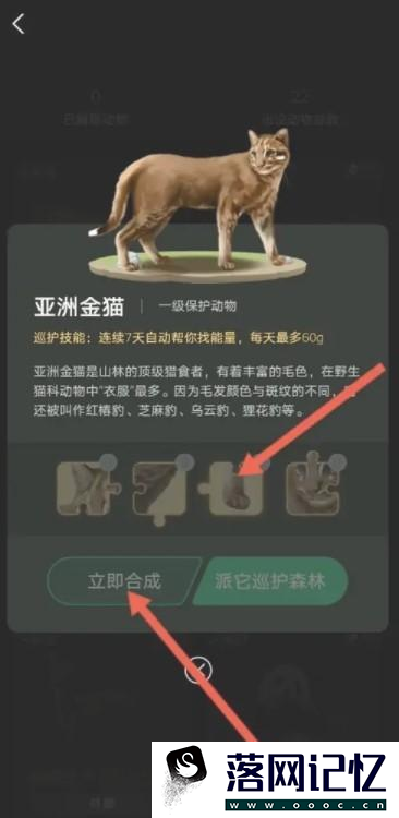 支付宝蚂蚁森林亚洲金猫怎么获得优质  第5张