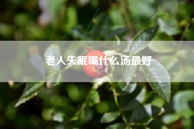 老人失眠喝什么汤最好  第1张