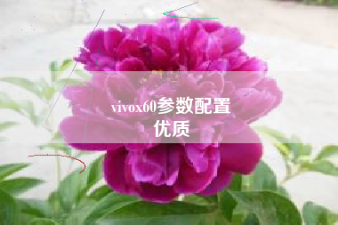 vivox60参数配置
优质  第104张