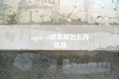 apple id被禁用怎么办
优质  第88张