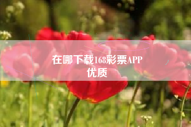 在哪下载168彩票APP
优质  第169张