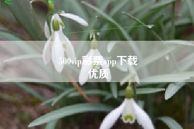 500vip彩票app下载
优质  第141张