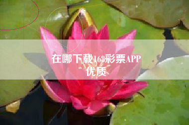 在哪下载168彩票APP
优质  第166张