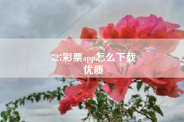 727彩票app怎么下载
优质  第86张