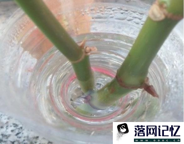 简易好看矿泉水瓶手工优质  第4张