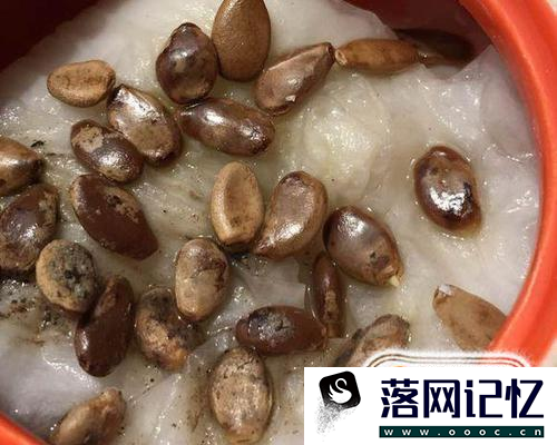 怎么在阳台种植小葫芦优质  第4张