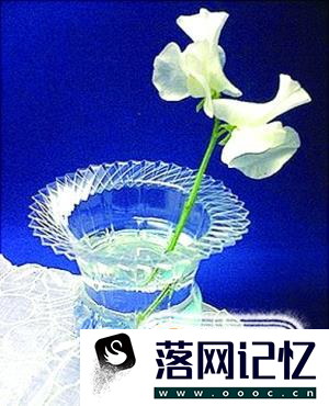 塑料瓶怎么制作成花瓶优质  第5张