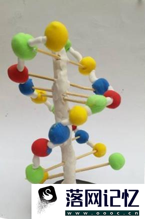 生物模型制作方法优质  第4张