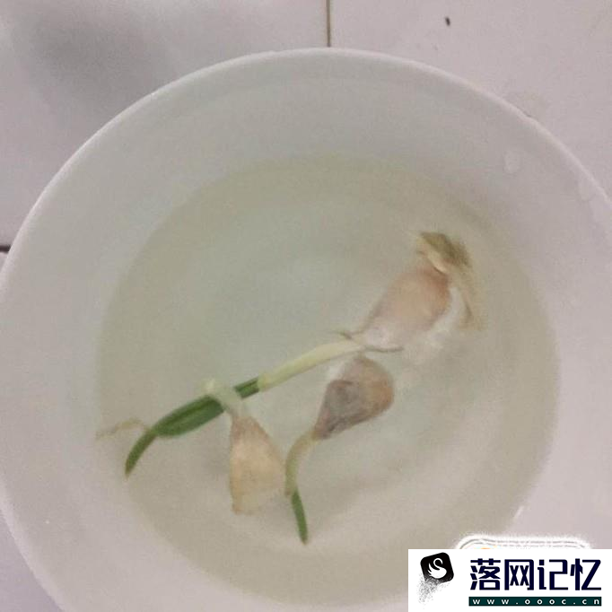 在自家阳台怎样种大蒜优质  第3张