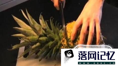 菠萝头子的种植方法优质  第2张