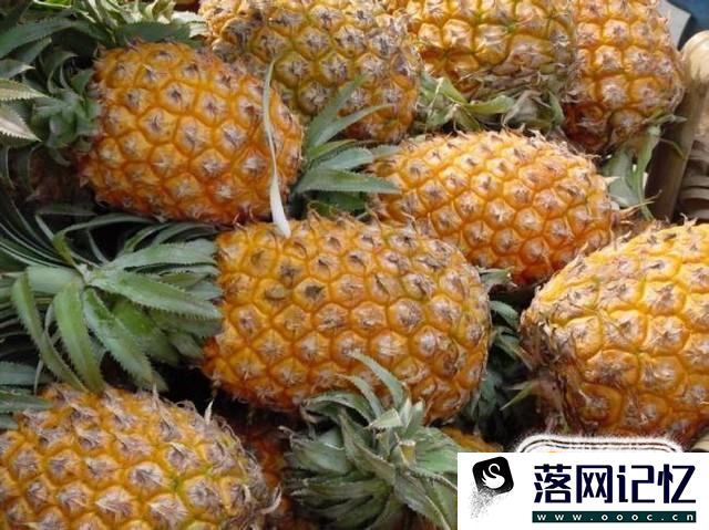 菠萝头子的种植方法优质  第7张