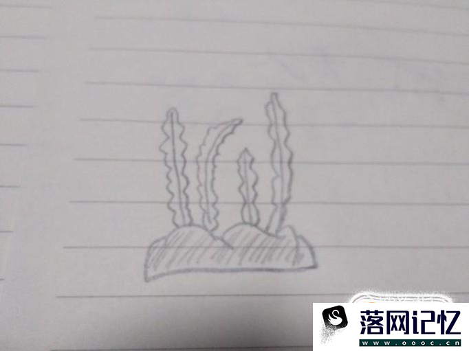 如何画海草简笔画优质  第3张