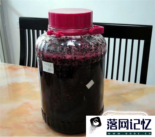 怎么制作桑葚酒？优质  第4张