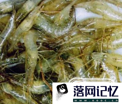 虾饺子馅做法大全优质  第1张