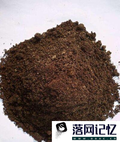 多肉蓝豆怎么养优质  第4张