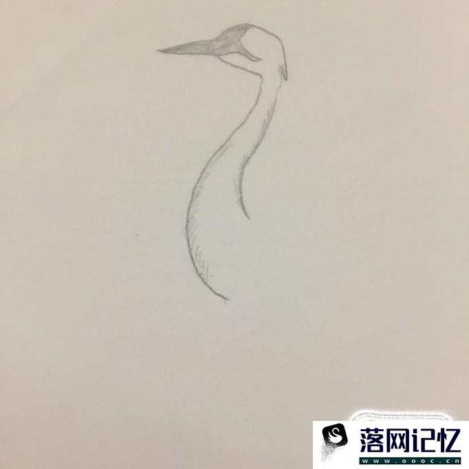 儿童画丹顶鹤怎么画优质  第1张