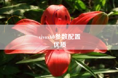 vivox60参数配置
优质  第103张