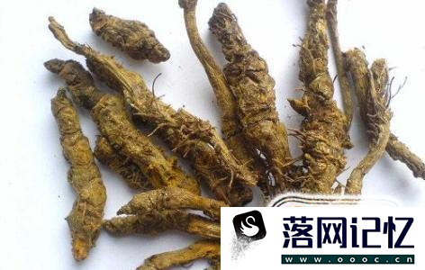 黄连的作用与功效优质  第8张