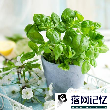 试管婴儿移植胚胎后不着床的10个原因优质  第1张