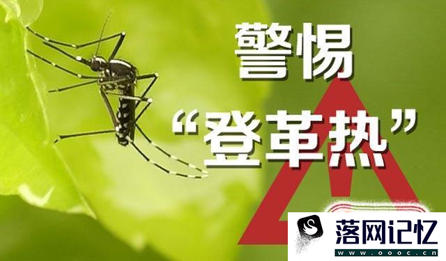 感染登革热有什么症状？优质  第1张