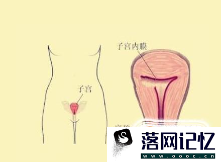 哪些行为会对子宫造成伤害？优质  第1张