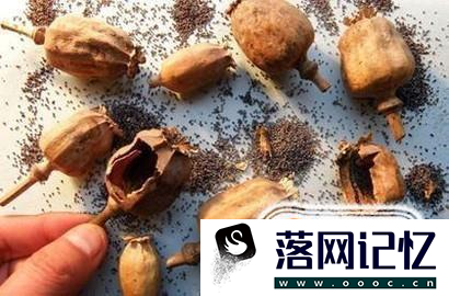 毒品正以意想不到的方式潜伏在你身边！优质  第11张