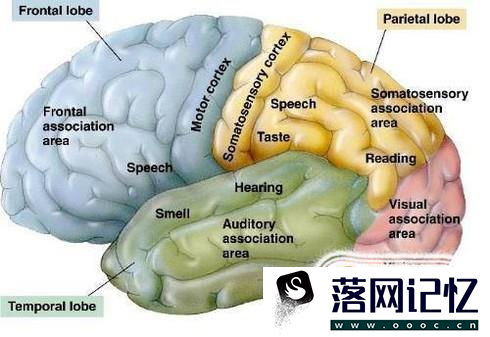 植物人的病因是什么 为什么会变成植物人优质  第1张