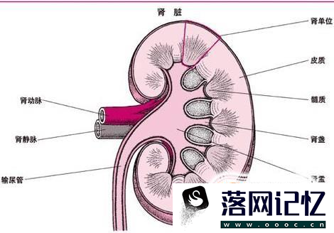 长期服用降糖药的危害优质  第1张