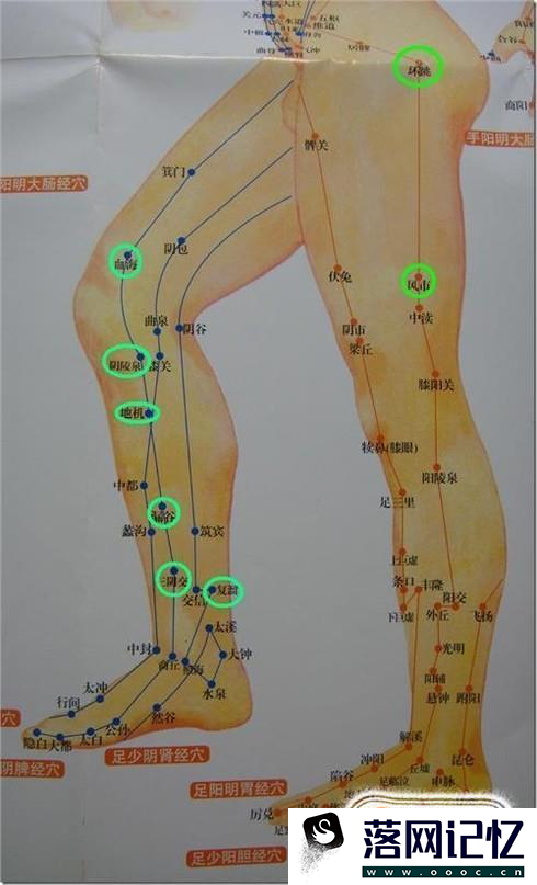 经常输血是否能够活血经络优质  第4张